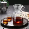 Borosilicate Glass Pour Over Coffee Carafe with Spiral Glass Dripper