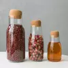Jiateng transparent glass storage bottles with cork stoppers for tea grains spices and kitchen organization