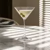 Wholesale martini glass for cocktail bars restaurants hotels and distributors
