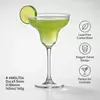 4.9 oz margarita glass with 186mm height for cocktail presentation