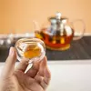 Modern borosilicate glass teapot with precision pouring spout and stainless steel infuser