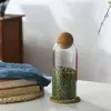 Stylish Jiateng reusable glass bottles with cork ball stoppers for modern kitchen countertop decor