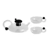 Premium heat-resistant glass teapot designed for herbal tea, green tea, and flowering tea