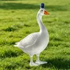 Elegant crystal goose wine decanter designed for red wine and premium spirits