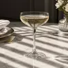 Wholesale coupe cocktail glass for bars restaurants hotels and distributors