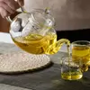 Stylish heatproof glass teapot with ergonomic handle and drip-free spout