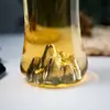 Stylish transparent borosilicate glass tumbler for hot and cold beverages