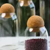Elegant Jiateng glass storage jars with cork lids for spices herbs dry food and pantry organization
