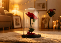 Glass Dome